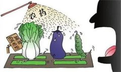 農(nóng)藥“安全、經(jīng)濟、有效”的使用原則
