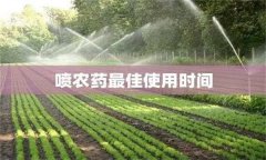 農(nóng)藥用藥時(shí)間問題：適時(shí)用藥是關(guān)鍵！