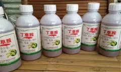 丁草胺的防除對象 丁草胺的使用方法和注意事項(xiàng)