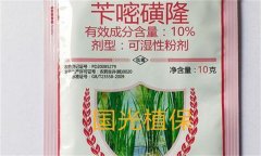 芐嘧磺隆的作用機制、使用方法與注意事項