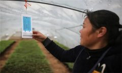 溫度對(duì)農(nóng)作物生長(zhǎng)發(fā)育的影響有哪些方面？