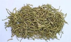 如何科學(xué)飲用金銀花茶？需注意哪些事項(xiàng)？