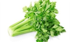 芹菜有何營養(yǎng)價(jià)值，多吃芹菜有哪些好處？