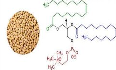 大豆異黃酮對(duì)人體有什么好處 什么食物含量多？