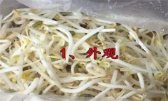 如何挑選豆芽？有根豆芽與無根豆芽有什么區(qū)別