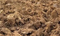 土壤肥力失衡、土壤質(zhì)量下降、土壤酸化怎么辦