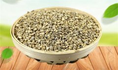 菠菜生長發(fā)育的過程是怎樣的？