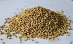 雞飼料中可以添加膽堿嗎？